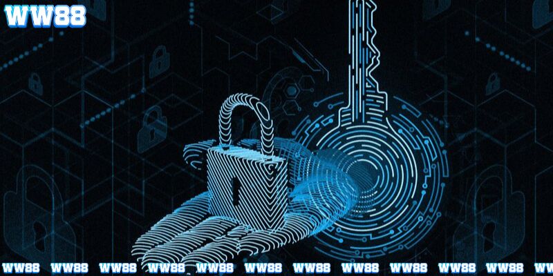 Các yếu tố then chốt về quyền riêng tư tại WW88